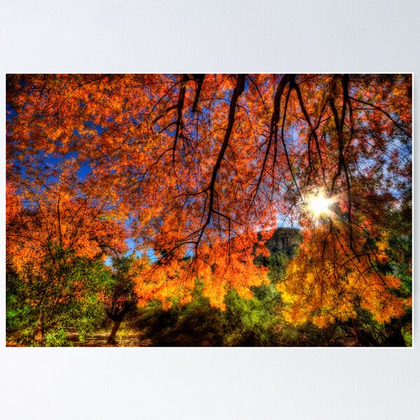 Artikelvorschau, Shades of Autumn entworfen und verkauft von Saija Lehtonen.