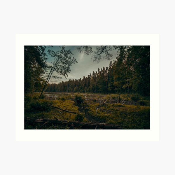 Old Forest Lake Art Print