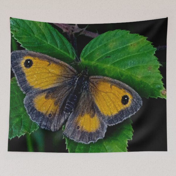 Item preview, MR. BERCOW BROWN designed and sold by NICK COBURN PHILLIPS.
