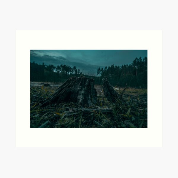 Tree Stump Art Print