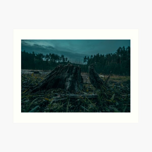 Tree Stump Art Print