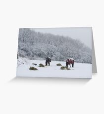 Tea time in the snow!!! Greeting Card