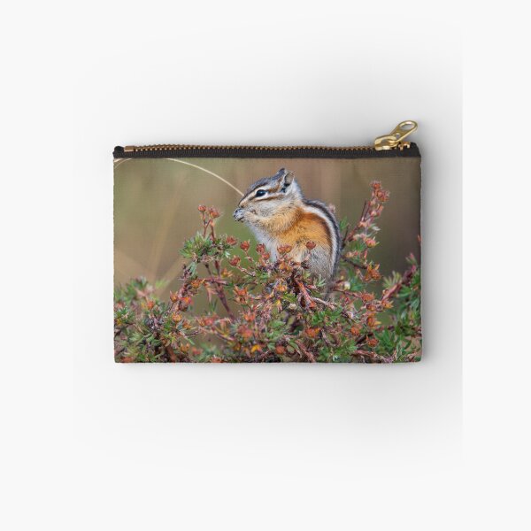 Aperçu de l'œuvre Chipmunk créée et vendue par Greg Birkett.
