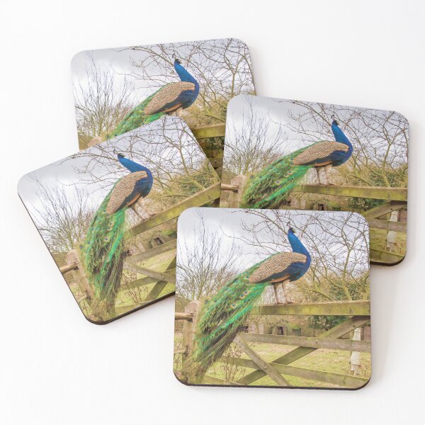 Item preview, #75 Peacock Standing Proudly on a Wooden Gate. designed and sold by phutball.