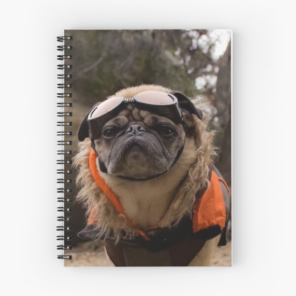 Item preview, The Impatient and Prepared Adventure Pug designed and sold by pugventurephoto.