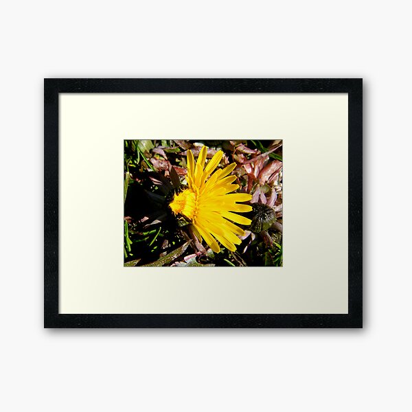 Embracing Your Creative Obsession Framed Art Print