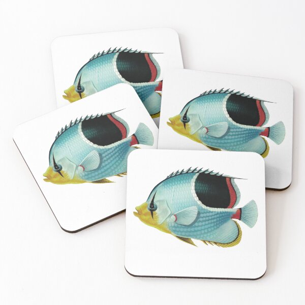 Item preview, Fish Art - Saddle Butterflyfish - Vintage Print designed and sold by Studio66Designs.