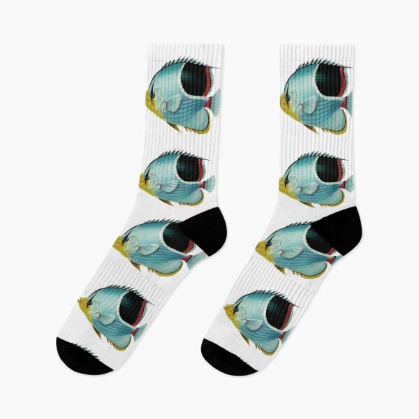 Item preview, Fish Art - Saddle Butterflyfish - Vintage Print designed and sold by Studio66Designs.