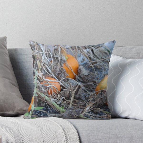 Item preview, Squashed designed and sold by Lesliebc.
