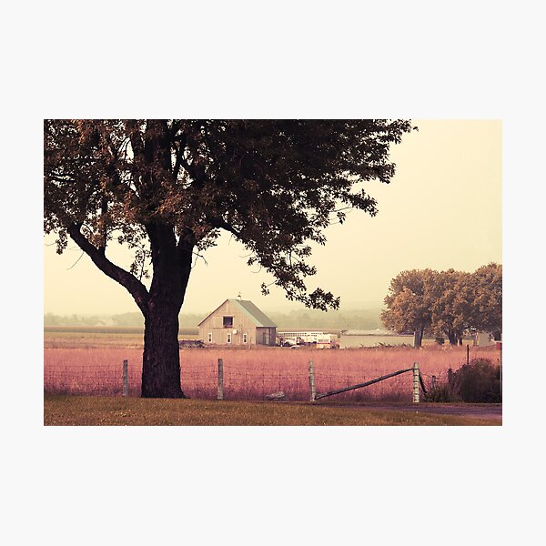 Countrylife Photographic Print