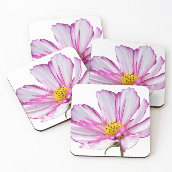Artikelvorschau, Geschenkidee zarte Blume Foto entworfen und verkauft von Katja LebenFreude.