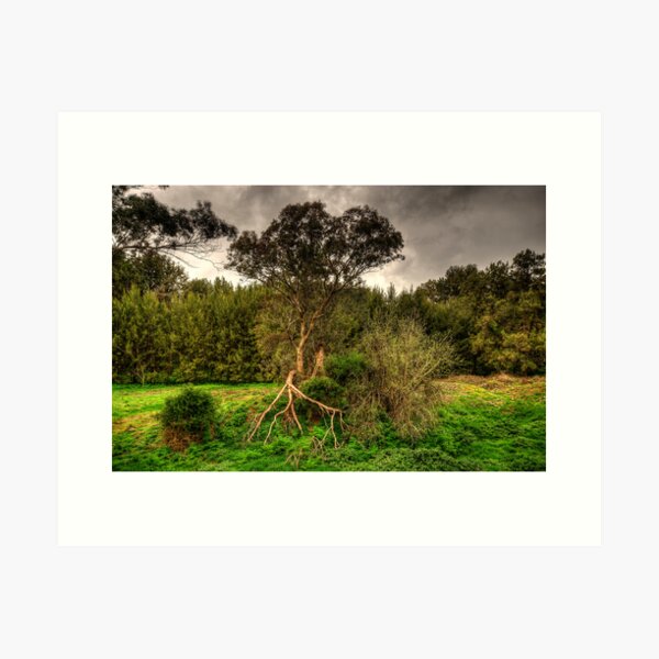 Item preview, Twisted -  On The Road To Sofala, West of Sydney - The HDR Experience designed and sold by Salieri1627.