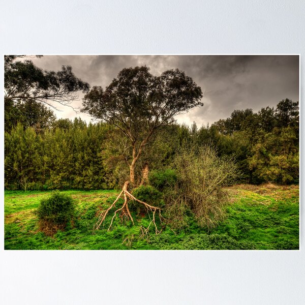 Item preview, Twisted -  On The Road To Sofala, West of Sydney - The HDR Experience designed and sold by Salieri1627.