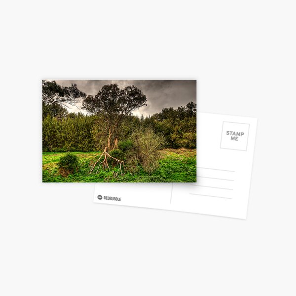 Item preview, Twisted -  On The Road To Sofala, West of Sydney - The HDR Experience designed and sold by Salieri1627.