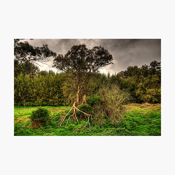Item preview, Twisted -  On The Road To Sofala, West of Sydney - The HDR Experience designed and sold by Salieri1627.