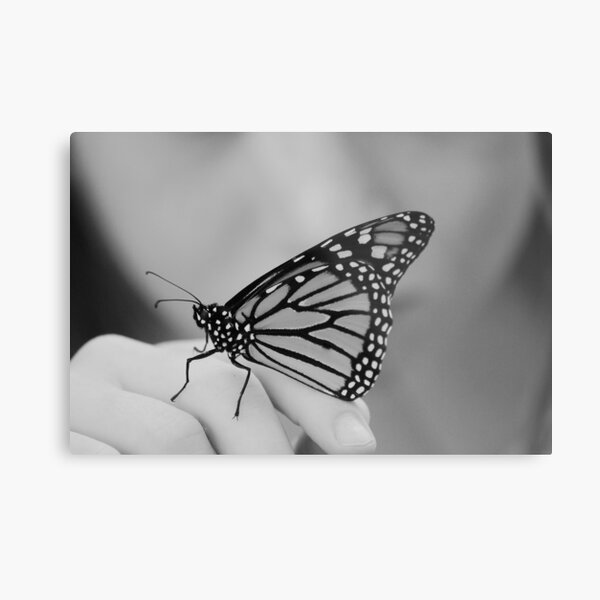 Let it go Metal Print