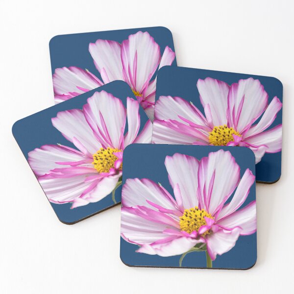 Artikelvorschau, Geschenkidee Foto zarte Blume Cosmea entworfen und verkauft von Katja LebenFreude.