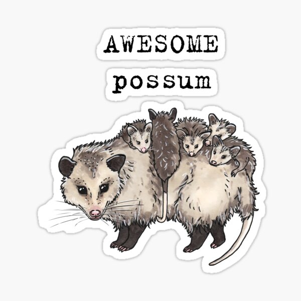 Possum - Animal series Sticker