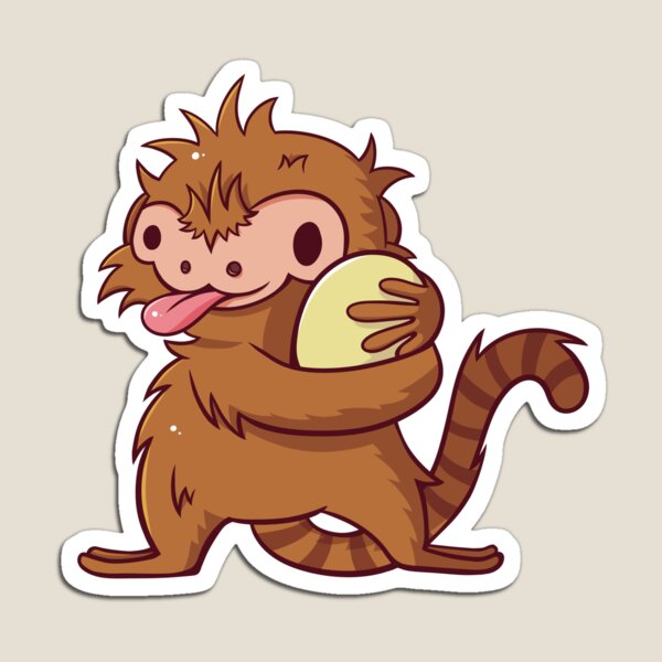 Pygmy Marmoset Magnet