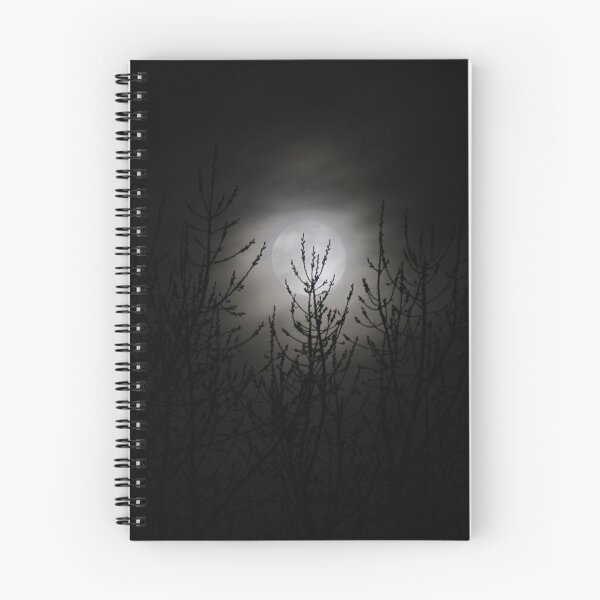 Aperçu de l'œuvre Blue Moon créée et vendue par David D. Shaw.