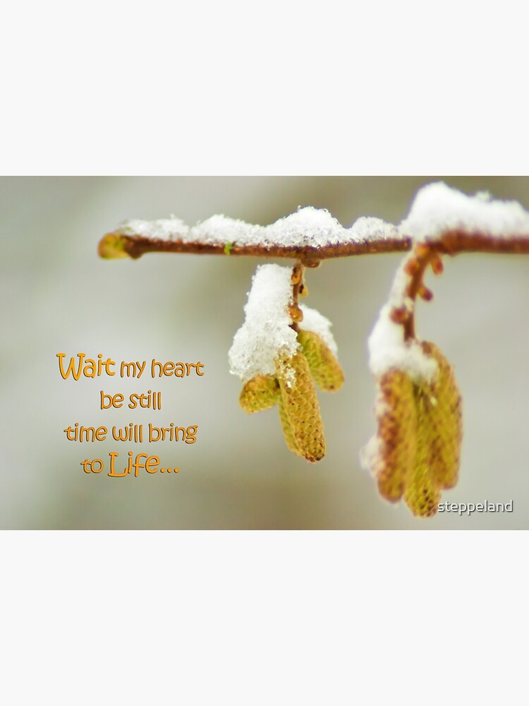 Wait my heart... by steppeland