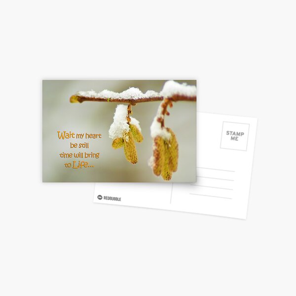 Wait my heart... Postcard