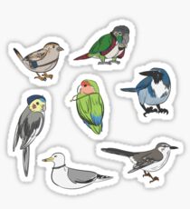 Life is Bird Sticker