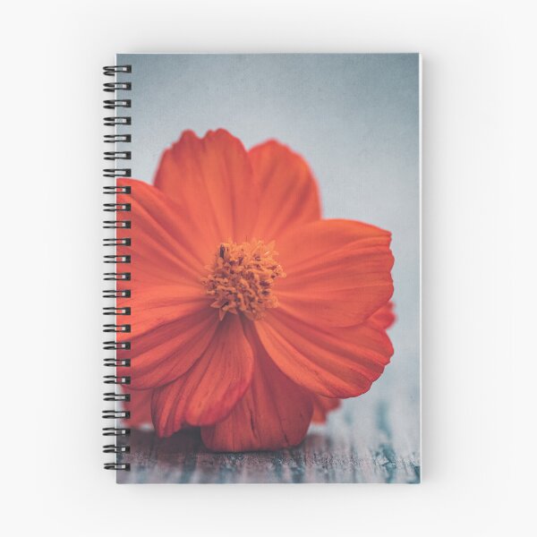 Item preview, Orange cosmos designed and sold by Philippe Sainte-Laudy.