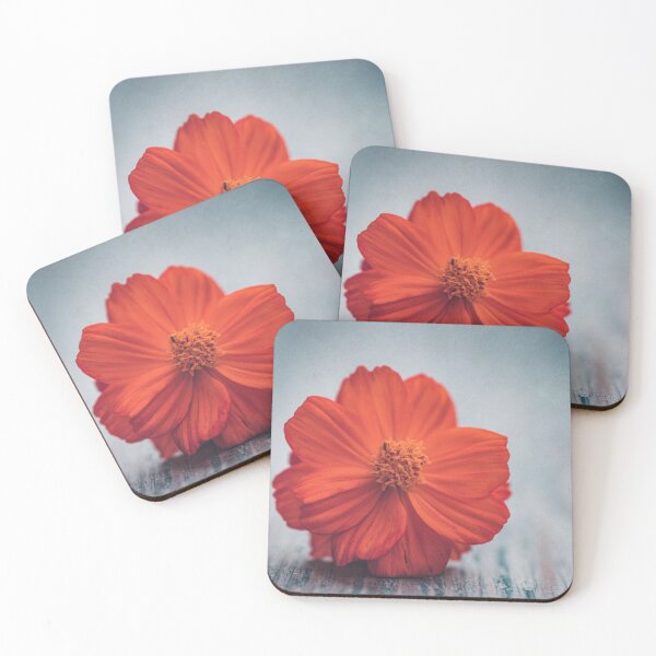 Item preview, Orange cosmos designed and sold by Philippe Sainte-Laudy.
