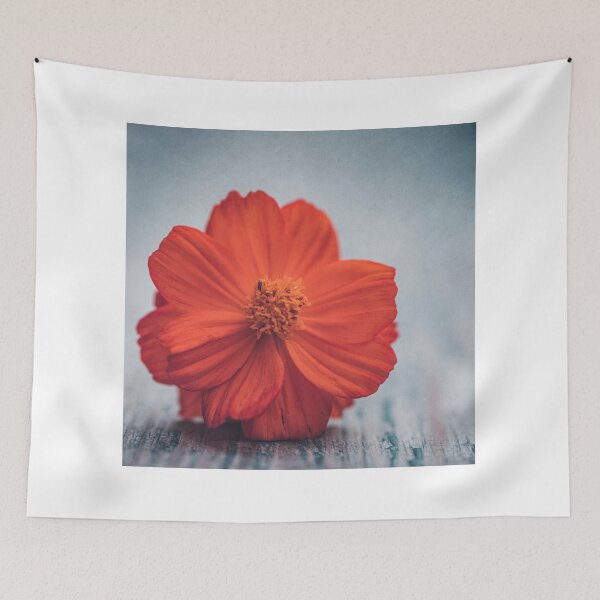 Item preview, Orange cosmos designed and sold by Philippe Sainte-Laudy.