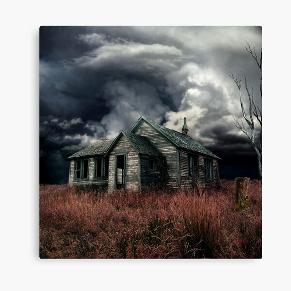 just before the storm Canvas Print