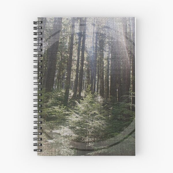 Item preview, Lynn Valley contemporay designer Karen Colville1 BC canada designed and sold by Aquila Light Pictures.