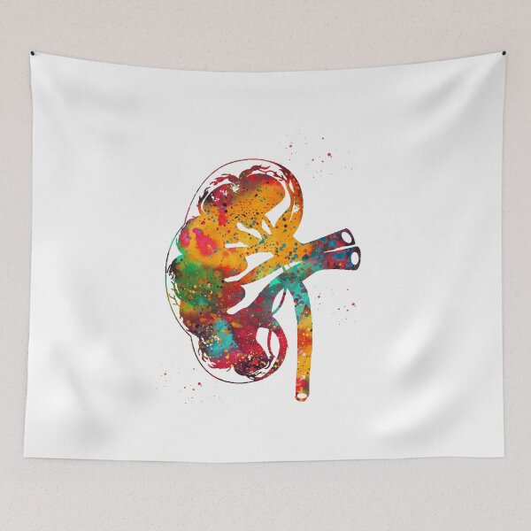 Item preview, Kidney section designed and sold by Liededrom..