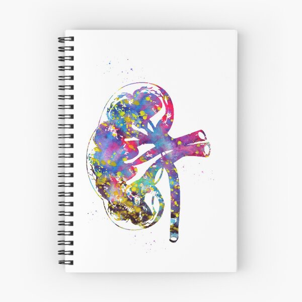 Item preview, Kidney section designed and sold by Liededrom..
