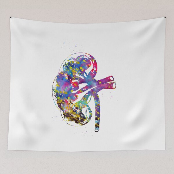 Item preview, Kidney section designed and sold by Liededrom..