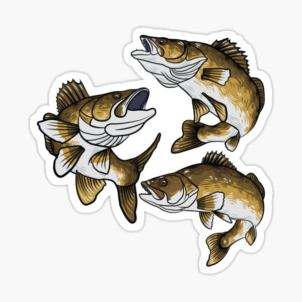 Walleye Stickers for Sale, Free US Shipping