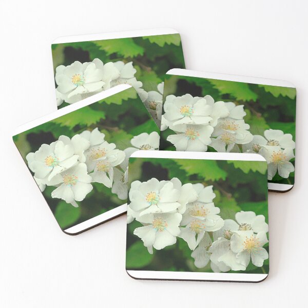 Item preview, Tiny Beauties designed and sold by Brenda Burnett.