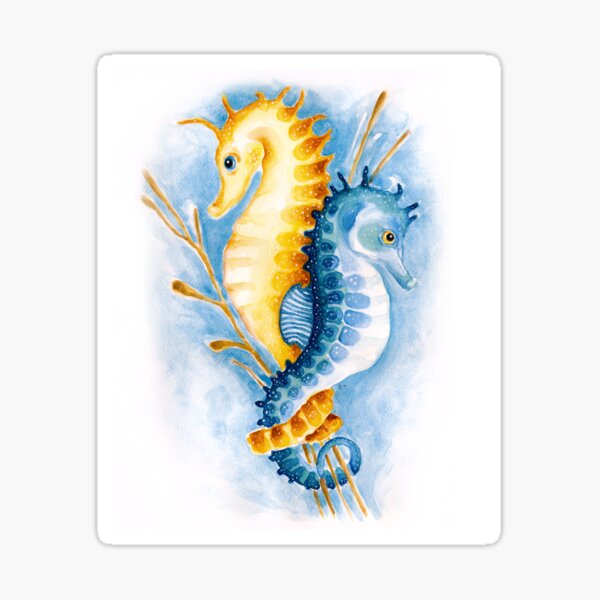 Two seahorses Orange Blue Love Ocean Coral Watercolor Sticker