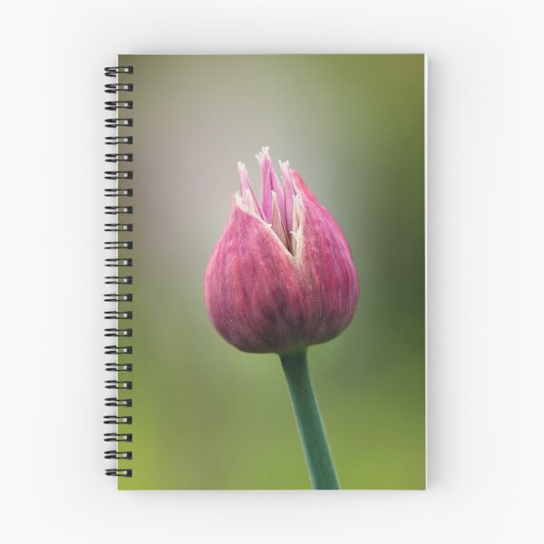 Item preview, Chives Flower Bud designed and sold by Tracy Friesen.