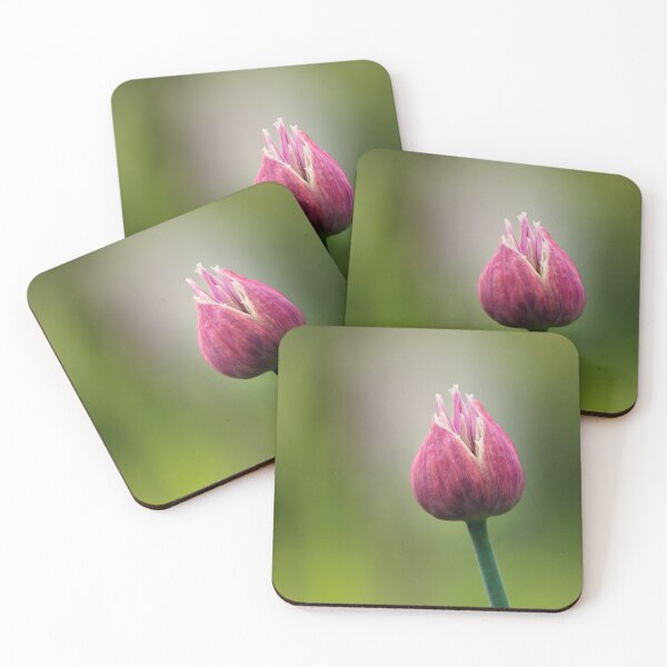 Item preview, Chives Flower Bud designed and sold by Tracy Friesen.
