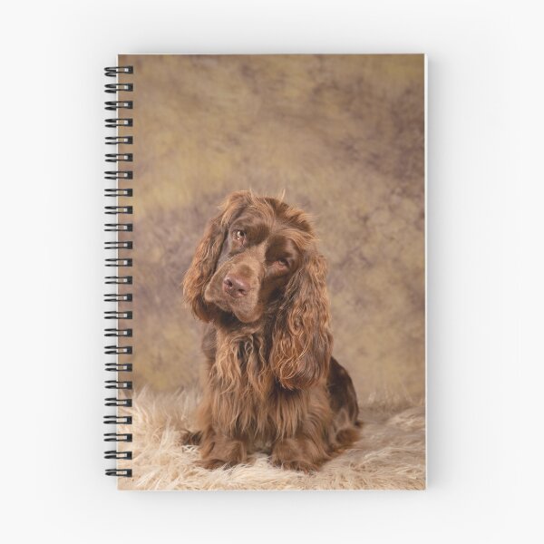 Item preview, Sussex Spaniel designed and sold by SMiddlebrook.