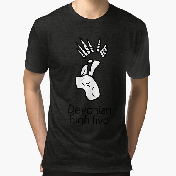 Devonian High Five  (light tee variant) Tri-blend T-Shirt