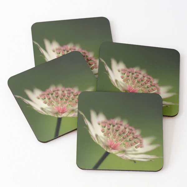 Item preview, Beauty in the Detail designed and sold by Tracy Friesen.