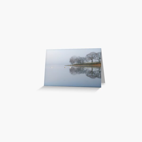 Esthwaite Swans Greeting Card