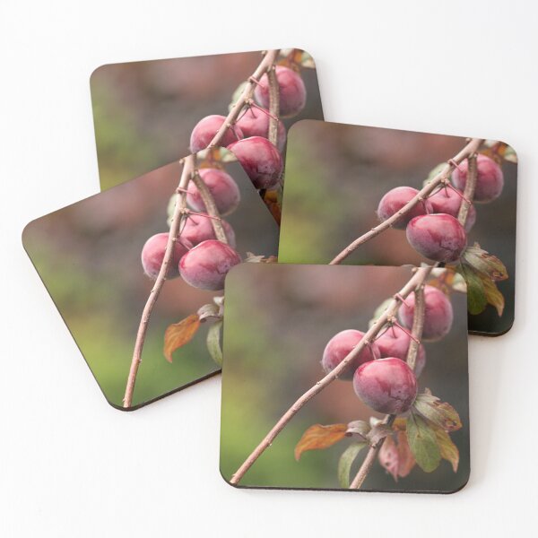 Item preview, Japanese Plum 2 designed and sold by Tracy Friesen.