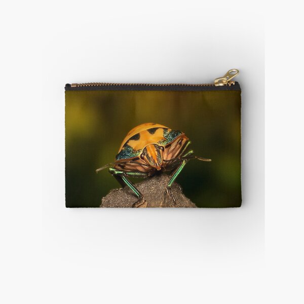 Item preview, Orange stink bug 002 designed and sold by kevin Chippindall.