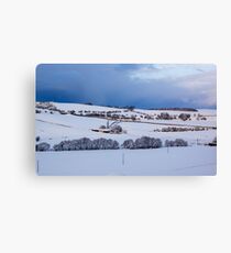 A Winter Landscape Canvas Print