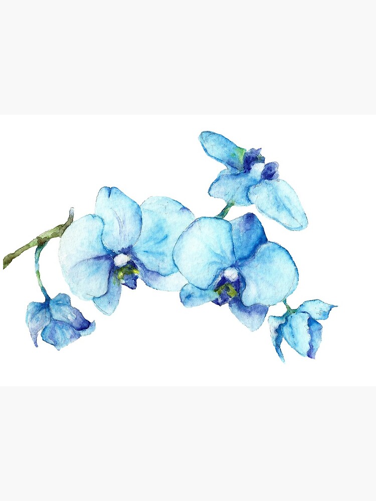 Lámina rígida «Arte botánico de orquídea azul» de Goosi | Redbubble