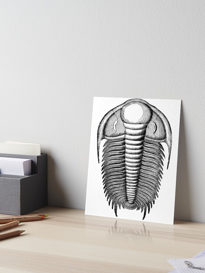 Scientific Illustration Trilobite Fossil Paleontology Science Gift