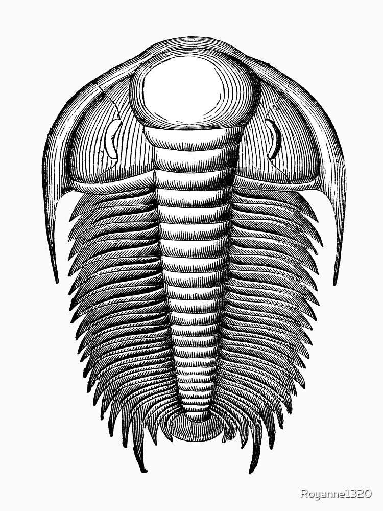 "Scientific Illustration Trilobite Fossil Paleontology Science Gift